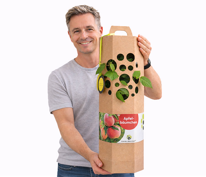 Apfebaum verschenken