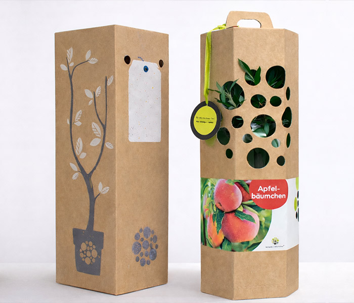 Apfelbaum Geschenkverpackung