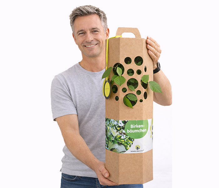 Birkenbaum verschenken