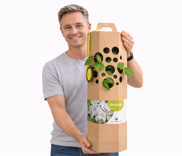 Birnbaum Verschenken