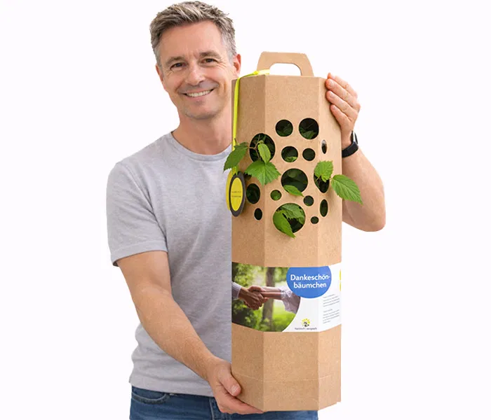Dankeschoen Baum Verschenken