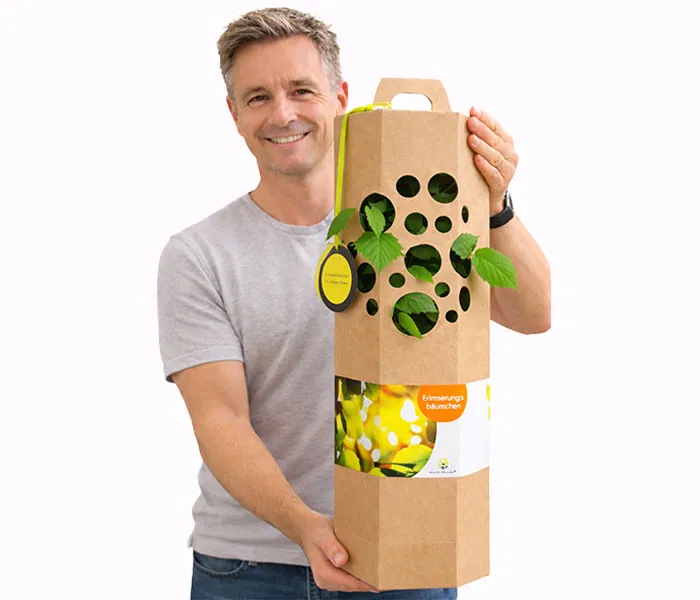 Erinnerungsbaum verschenken