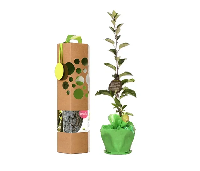 Geschenk-zur-Silberhochzeit-Hochzeitsbaum