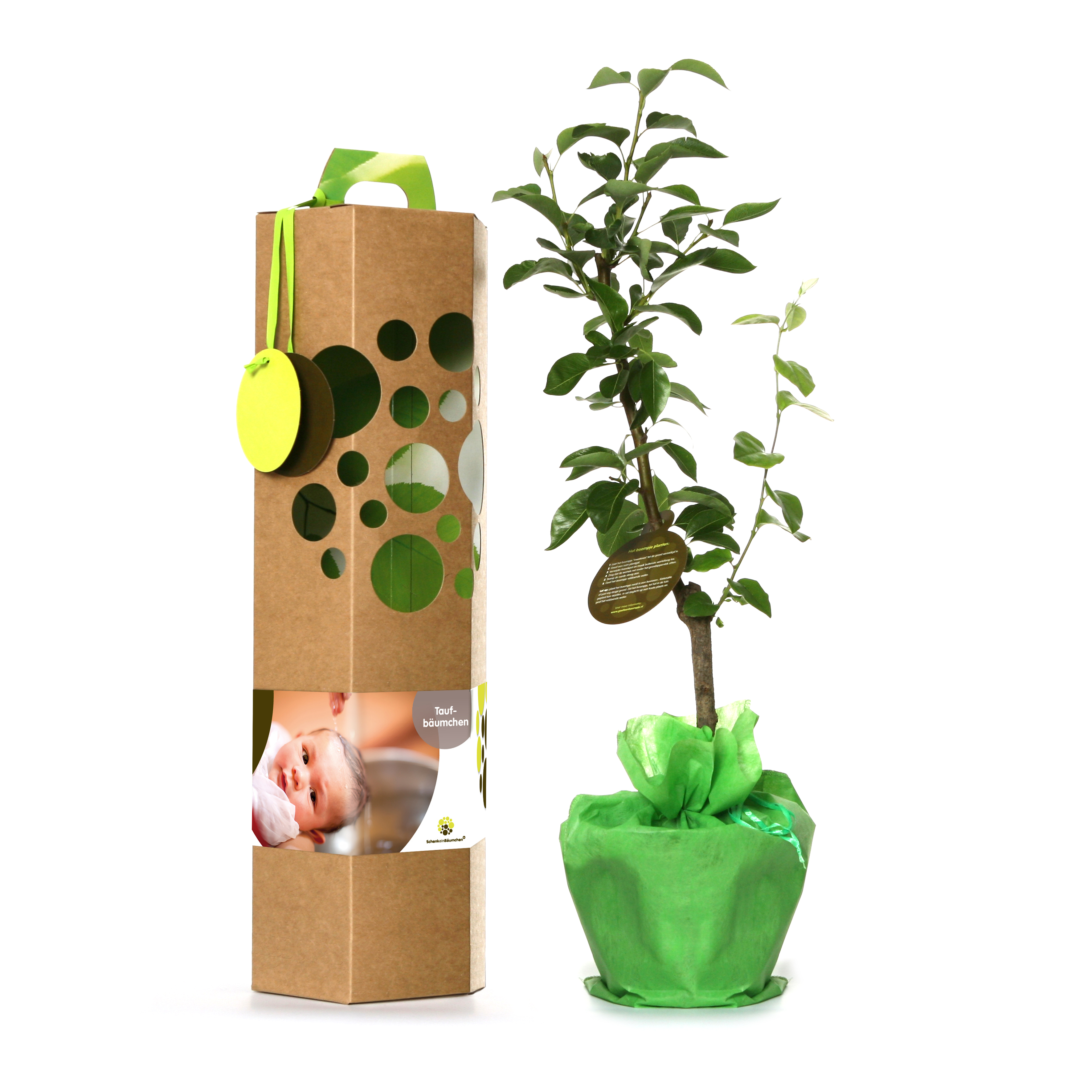 Geschenk zur Taufe als Gast – Der Taufbaum als besondere Idee