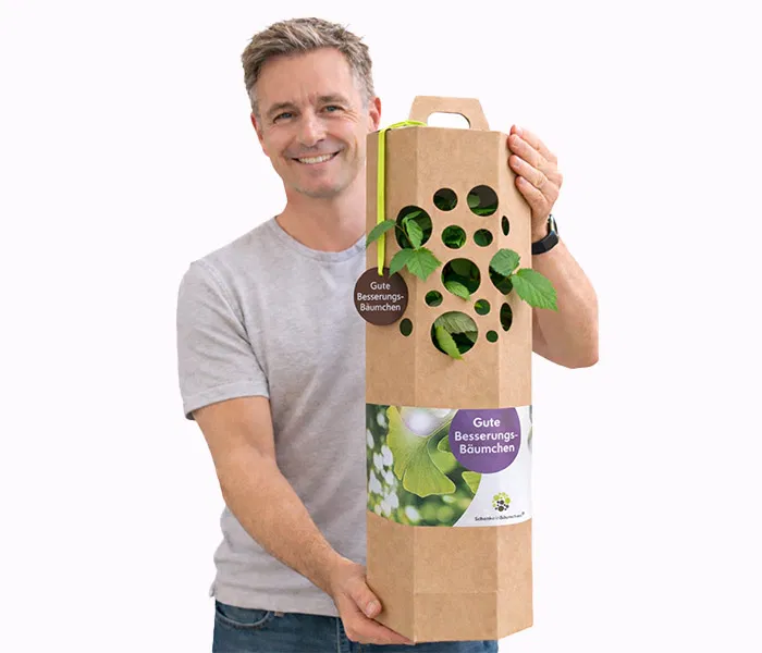 Gutebesserungs Geschenk verschenken