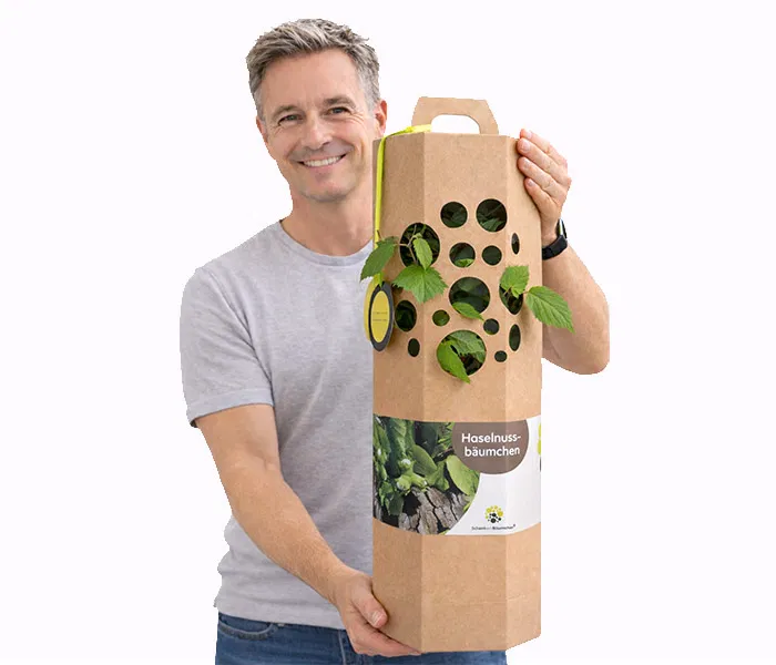 Haselnussbaum verschenken