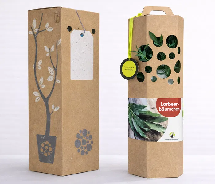 Lorbeerbaum Geschenkverpackung