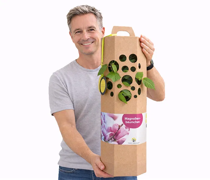 Magnolienbaum verschenken