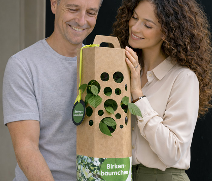 Mann un Frau erhalten Birkenbaum als Geschenk