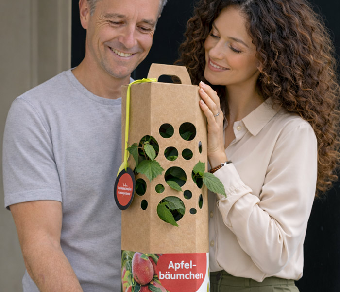 Mann und Frau erhalten Apfelbaum als Geschenk