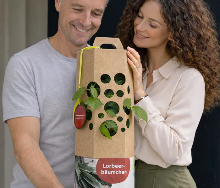 Mann und Frau kaufen Lorbeerbaum