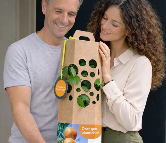 Mann und Frau kaufen Orangenbaum