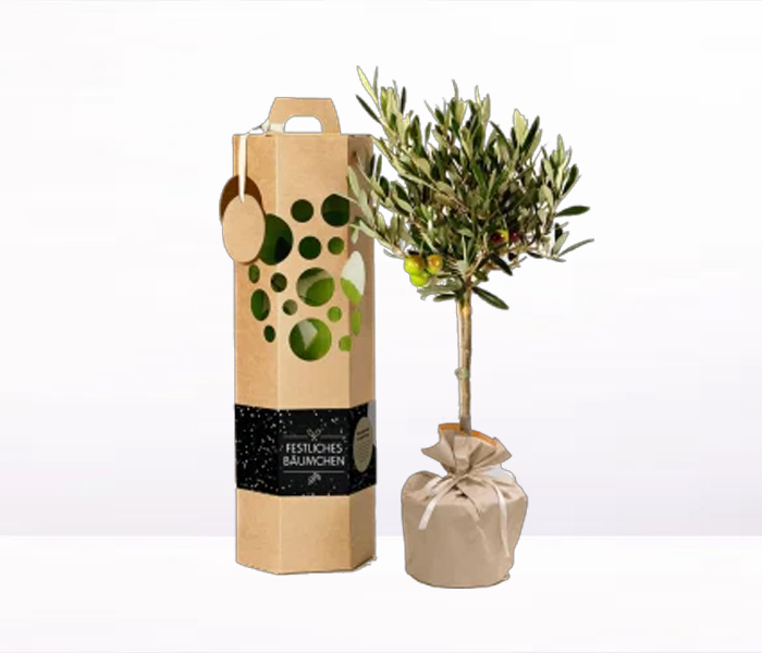 Neujahrsgeschenk Festbaum