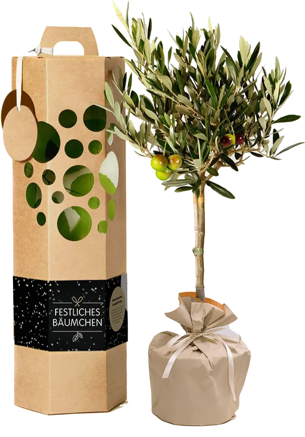 Neujahrsgeschenk für Kunden & Mitarbeiter – Originelle Ideen