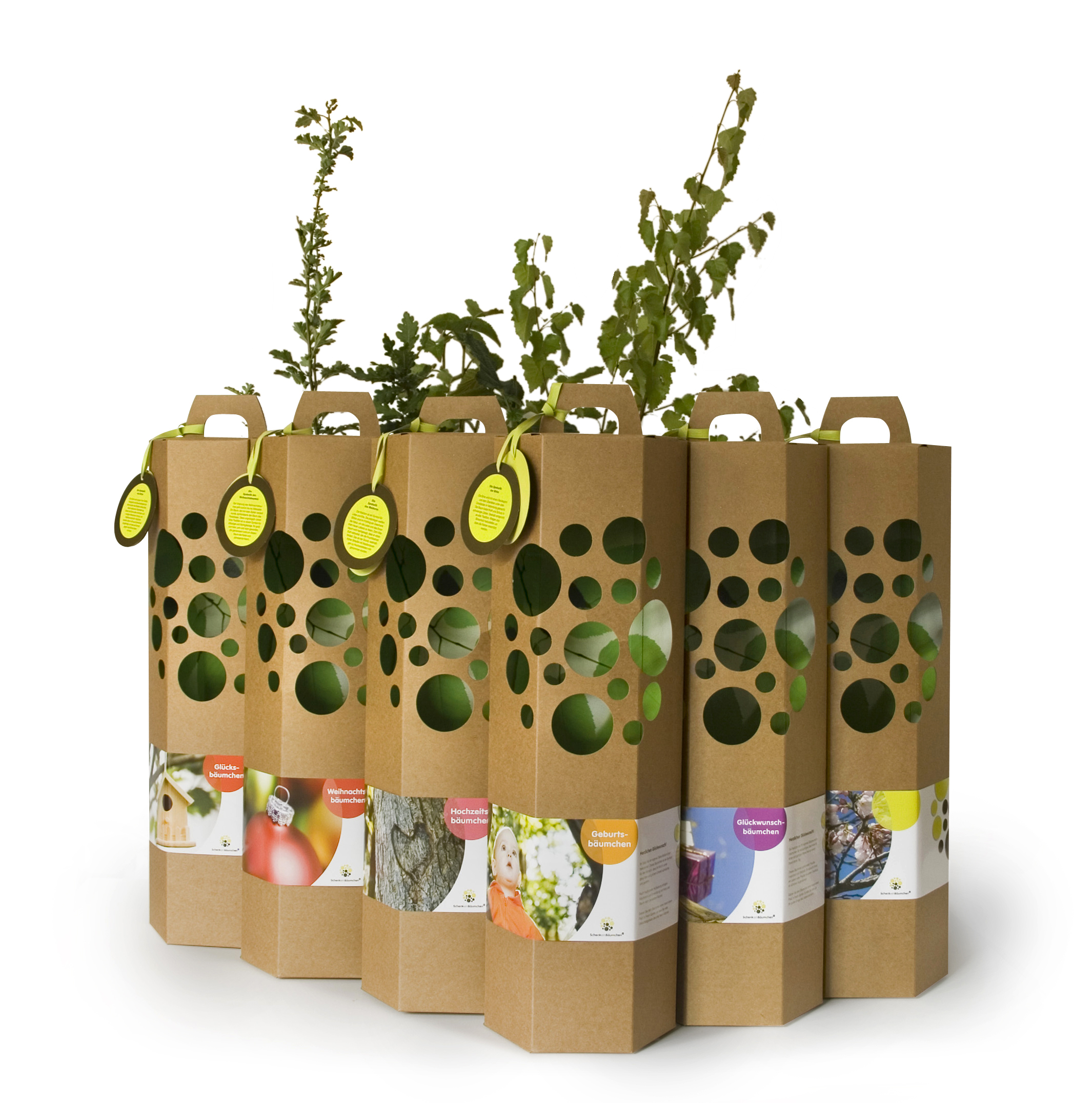 Sinnvoll schenken – Nachhaltige Geschenkideen mit Bedeutung
