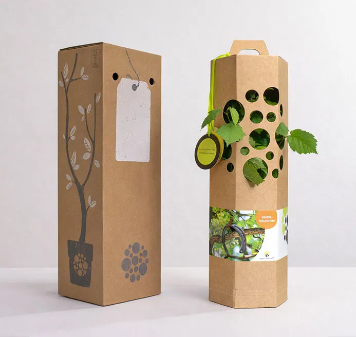 Verpackung Glucksbaum