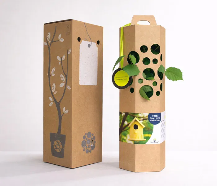 Verpackung Neue Wohung Geschenk
