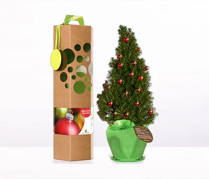 Weihnachtsbaum