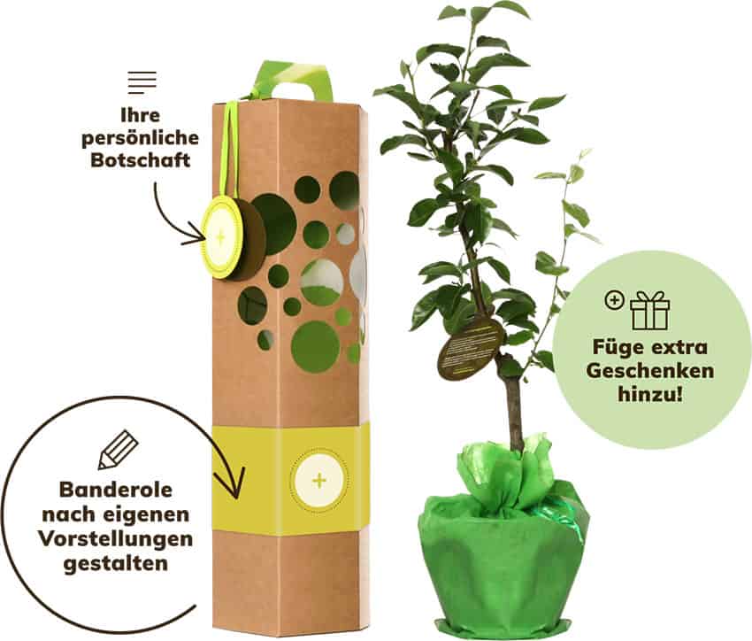 Willkommensgeschenk & Onboardinggeschenk – Ideen für Mitarbeiter