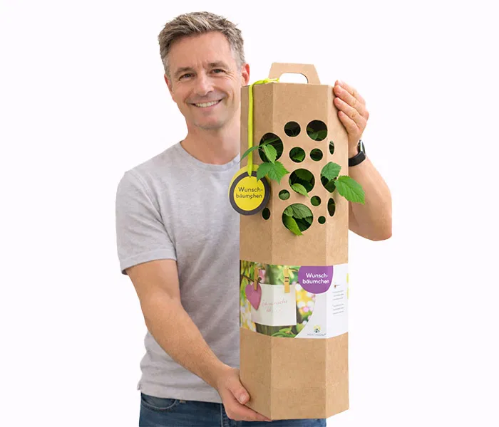 Wunschbaum verschenken