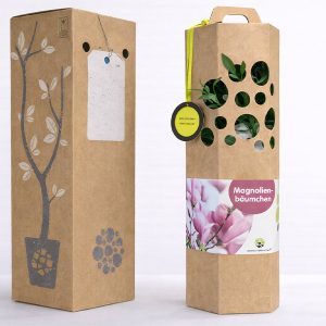 Magnolienbaum-Geschenkverpackung