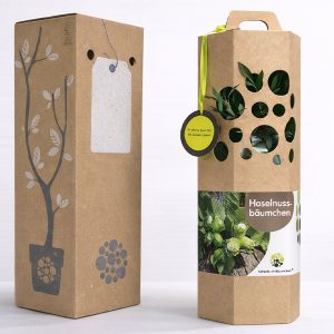 Haselnussbaum-Geschenkverpackung