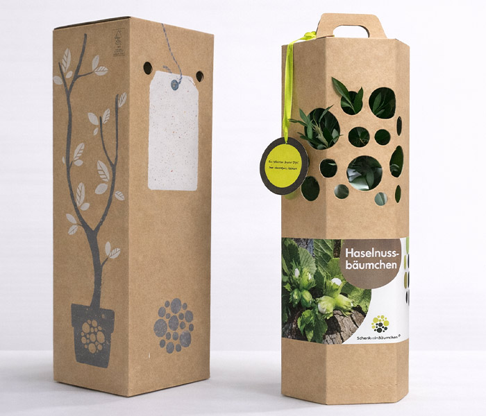 Haselnussbaum-Geschenkverpackung
