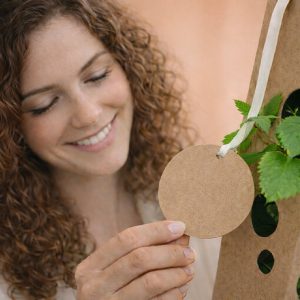 Haselnussbaum-anschauen