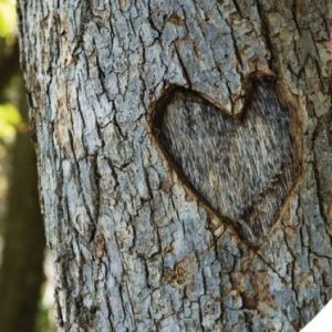 Hochzeitsbaum Banderole