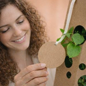 Magnolienbaum-symboliek-anschauen