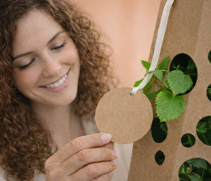 Magnolienbaum-symboliek-anschauen