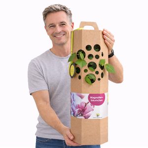 Magnolienbaum-kaufen-und-verschenken