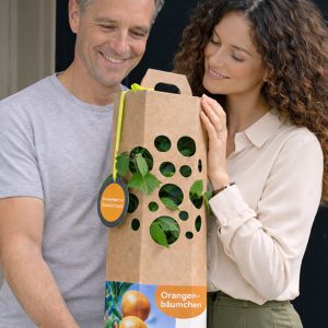 Orangenbaum-kaufen-Mann-und-Frau