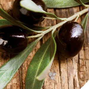 Olivenbaum Banderole