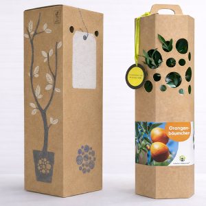 Orangenbaum-Verpackung