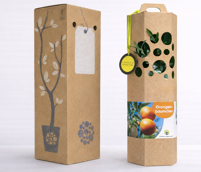 Orangenbaum-Verpackung