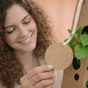 Orangenbaum-Text-anschauen