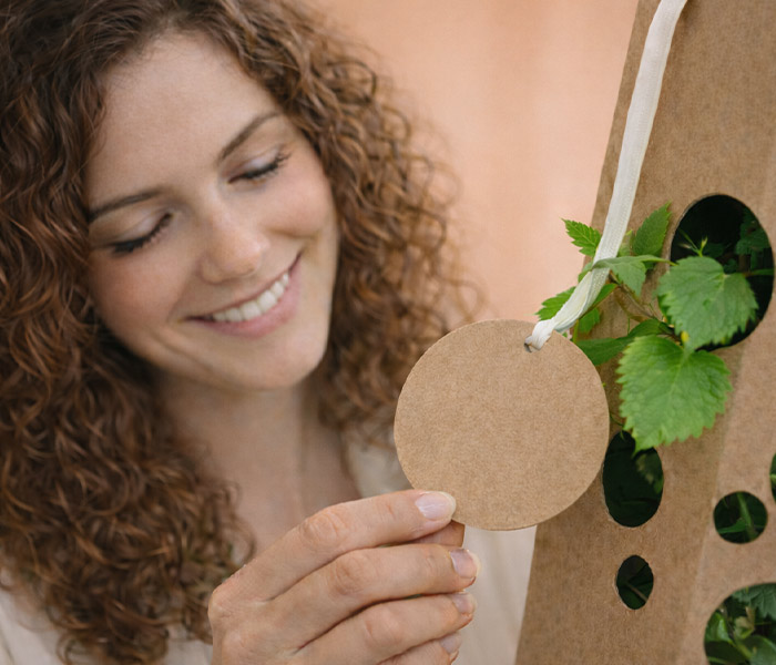 Orangenbaum-Text-anschauen