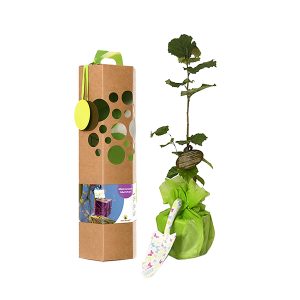 Glückwunschbaum als Geschenk