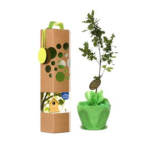 Neues zuhause Baumgeschenk