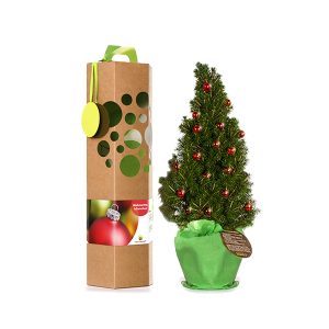 Weihnachtsbaum als Geschenk